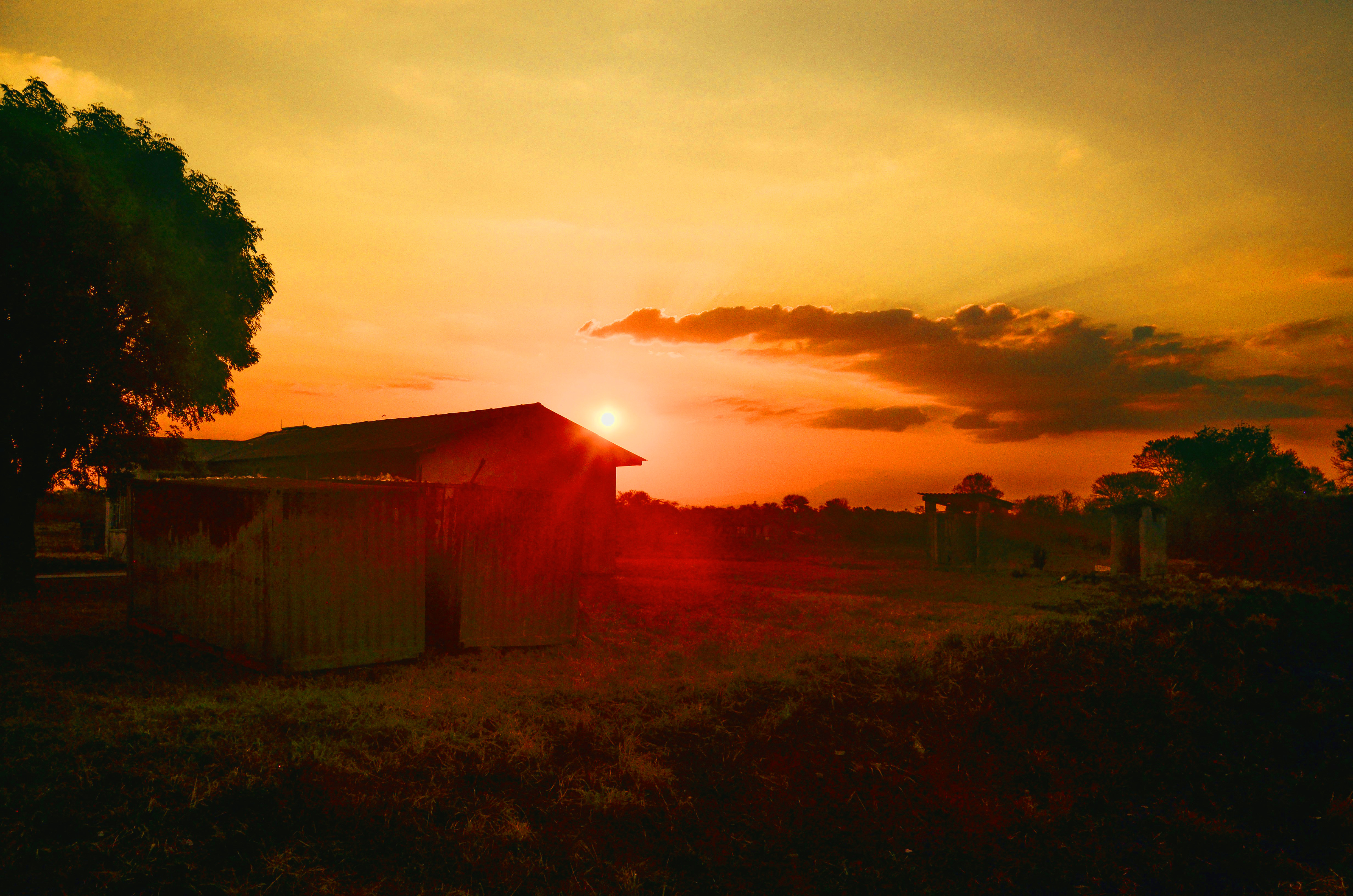 Warm peaceful sunset